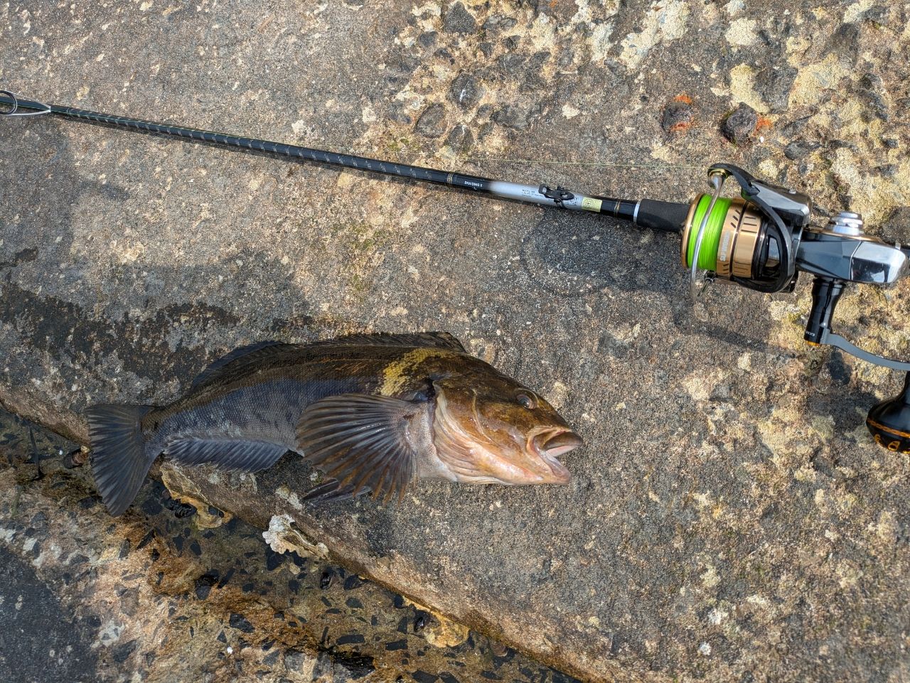 DAIWA 23シーバスフラット X 96Mの最安値・インプレ・釣果 | 本音の