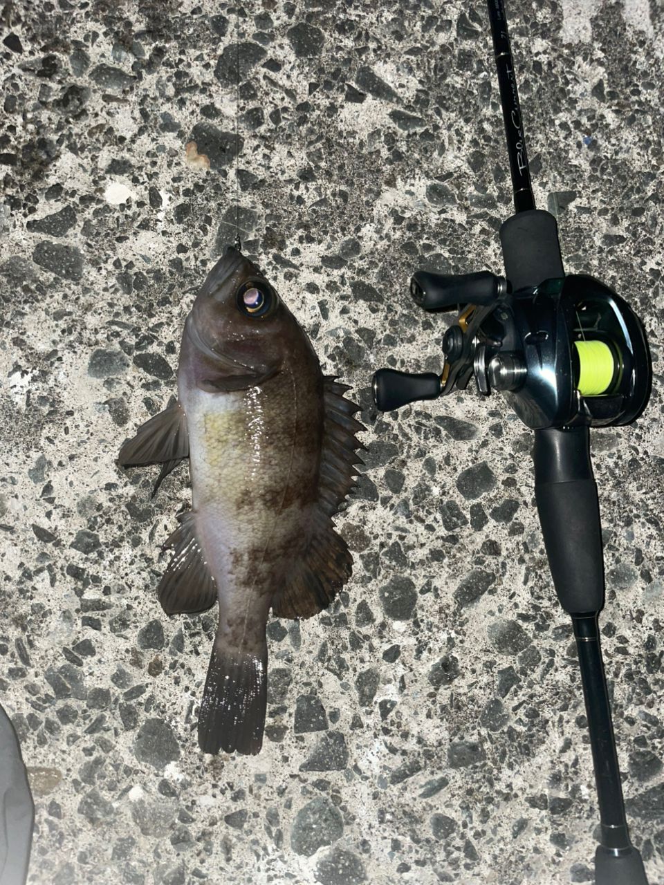 YAMAGA Blanks ブルーカレント Bait 71 (Overhead) modelの最安値