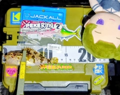 タケノコメバルの釣果