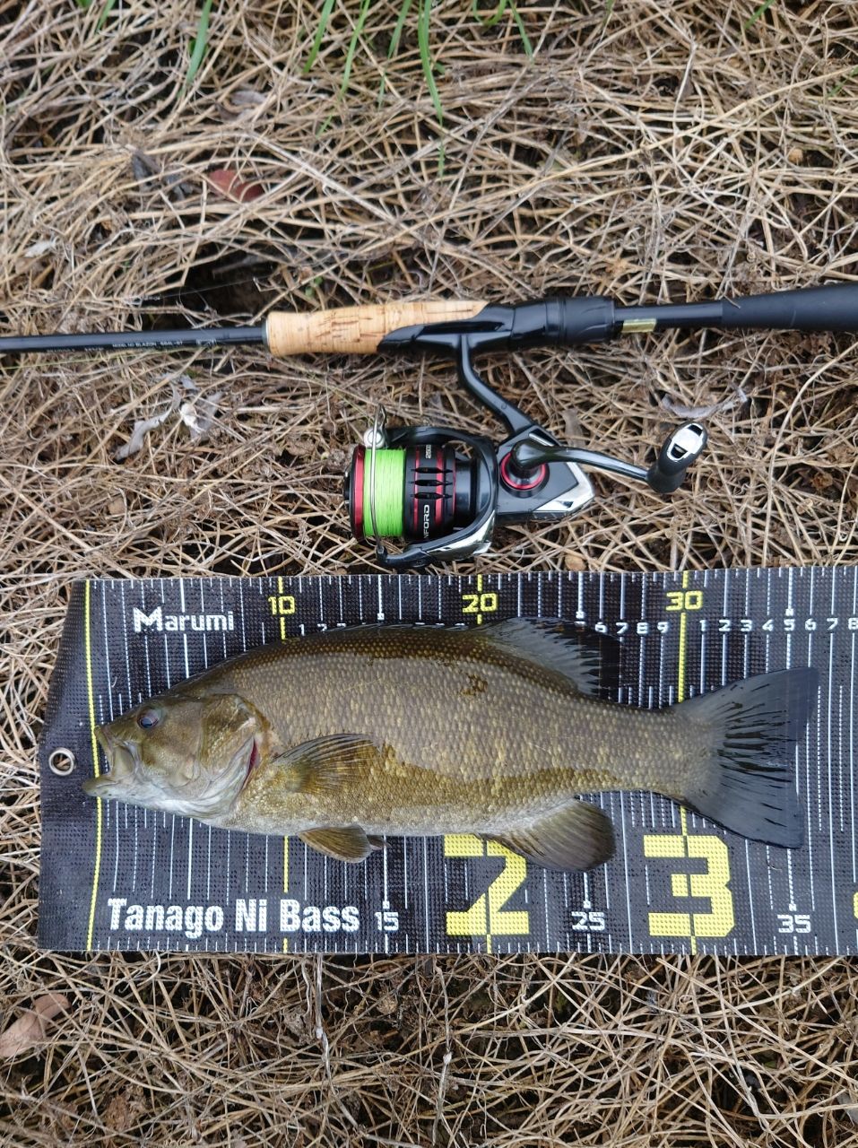 DAIWA 21ブレイゾン S64L-STの最安値・インプレ・釣果 | 本音の口コミ