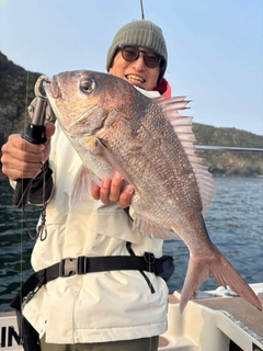 マダイの釣果