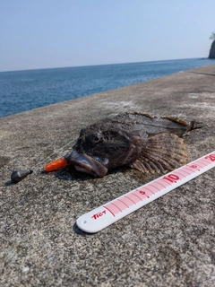 釣果
