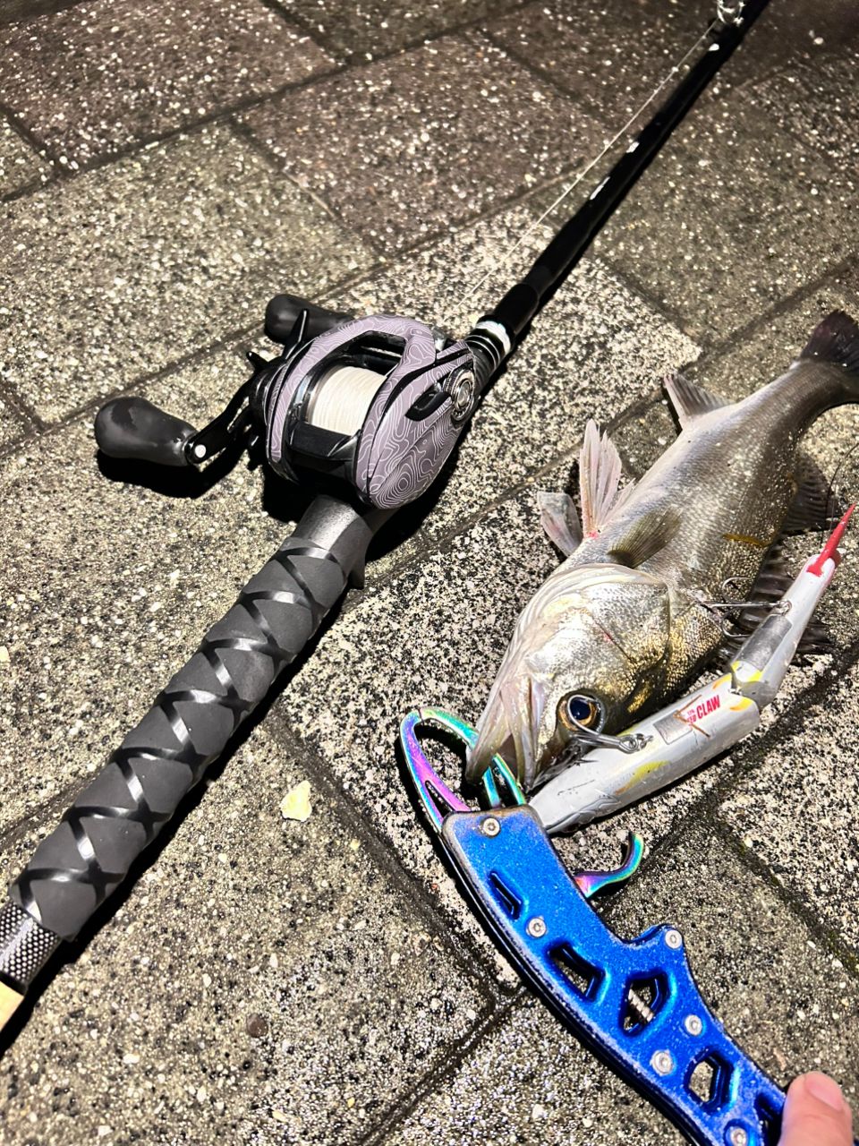 DAIWA 21タトゥーラ TW 300XHLの最安値・インプレ・釣果 | 本音の