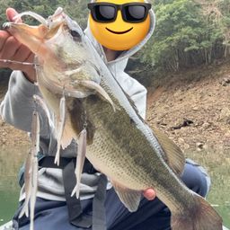 ブラックバスの釣果写真