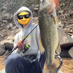 ブラックバスの釣果写真