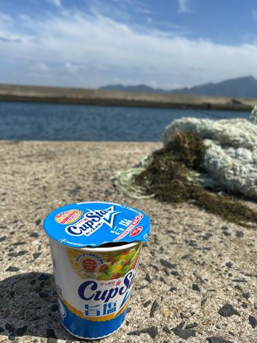 マアジの釣果