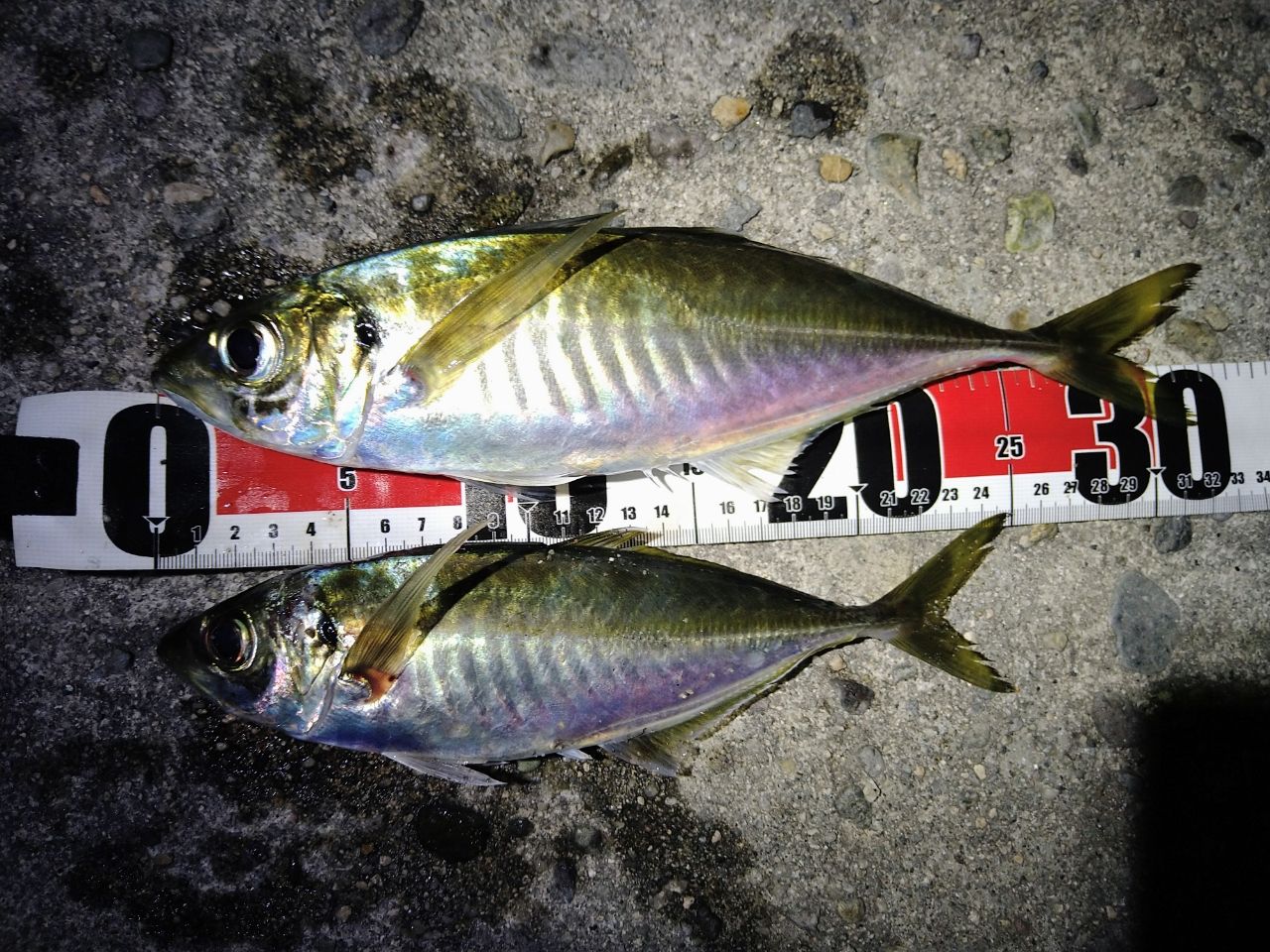 SHIMANO 22ソアレ SS S86ML-Tの最安値・インプレ・釣果 | 本音の口コミ