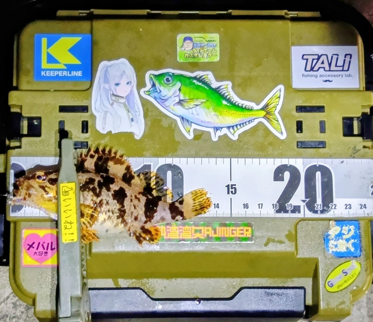Bamiki【美品】アピア グランデージライト61 APIA グランデージ ライト 61の最安値・インプレ・釣果 | 本音の口コミ