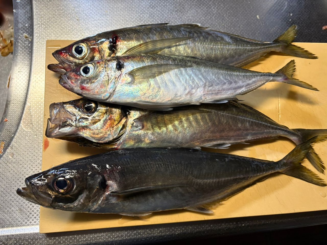 No.5033 鯵道5G S622L / AJI No.5033 鯵道5G S622L / AJI 【公式通販】