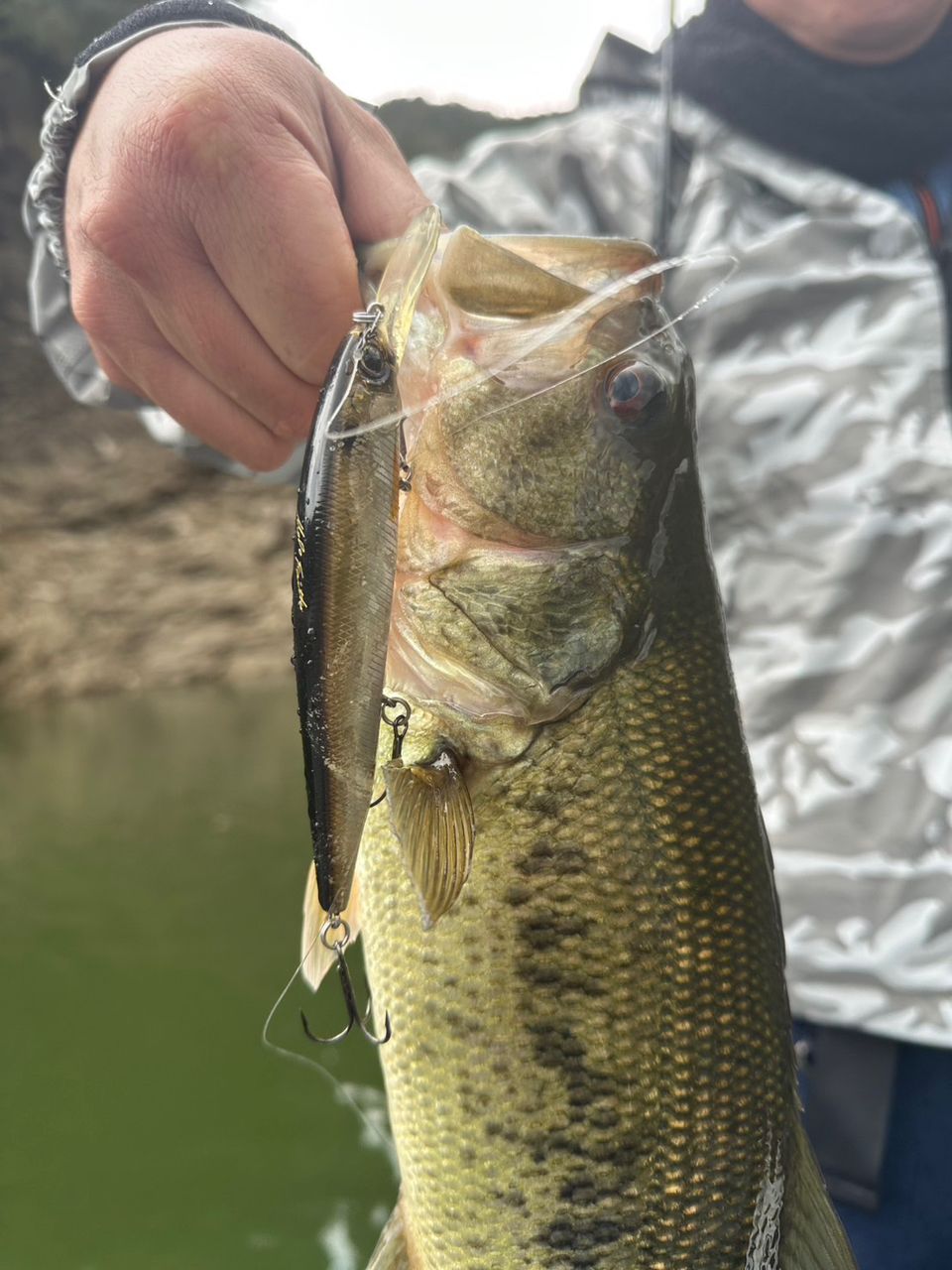 SHIMANO 20ゾディアス 172MH-Gの最安値・インプレ・釣果 | 本音の