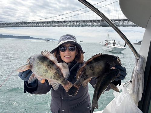 メバルの釣果