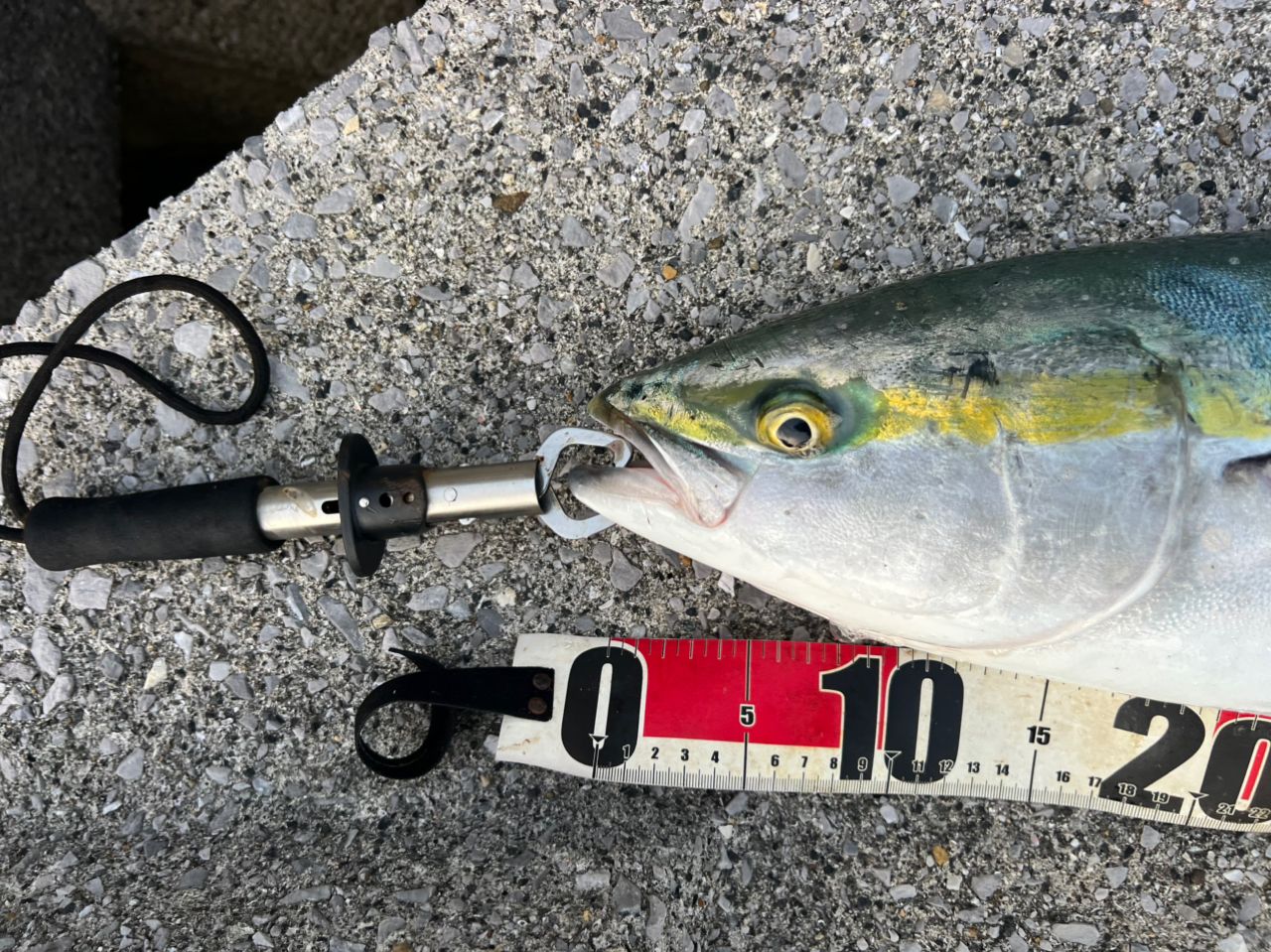 DAIWA 13ジグキャスター MX 106Hの最安値・インプレ・釣果 | 本音の