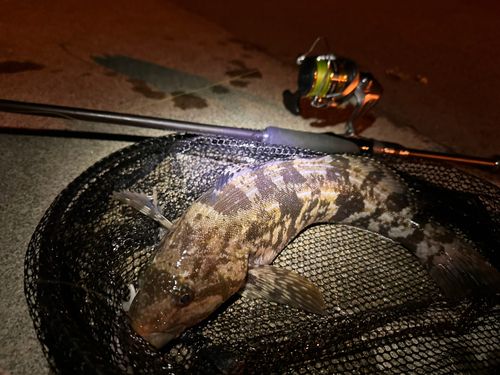 釣果