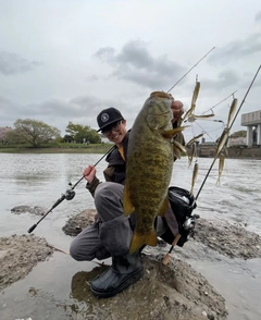 スモールマウスバスの釣果