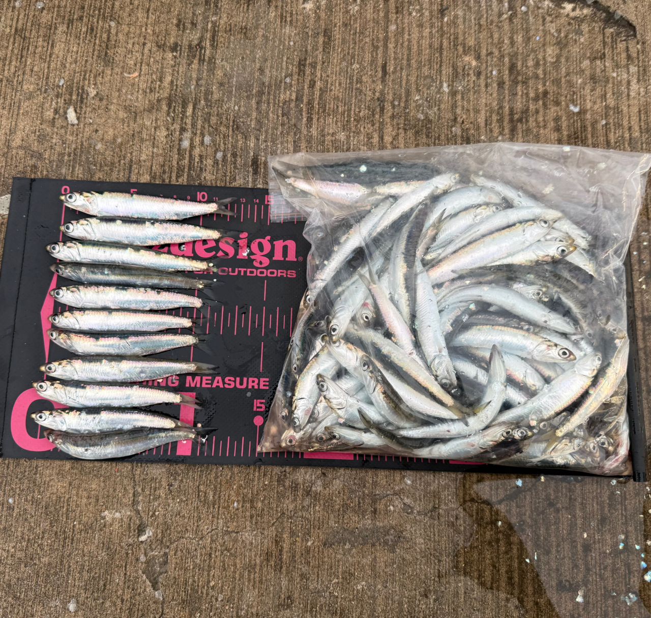 SHIMANO ホリデー イソ 3-450の最安値・インプレ・釣果 | 本音の口コミ