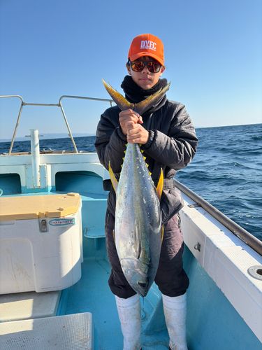 キハダマグロの釣果