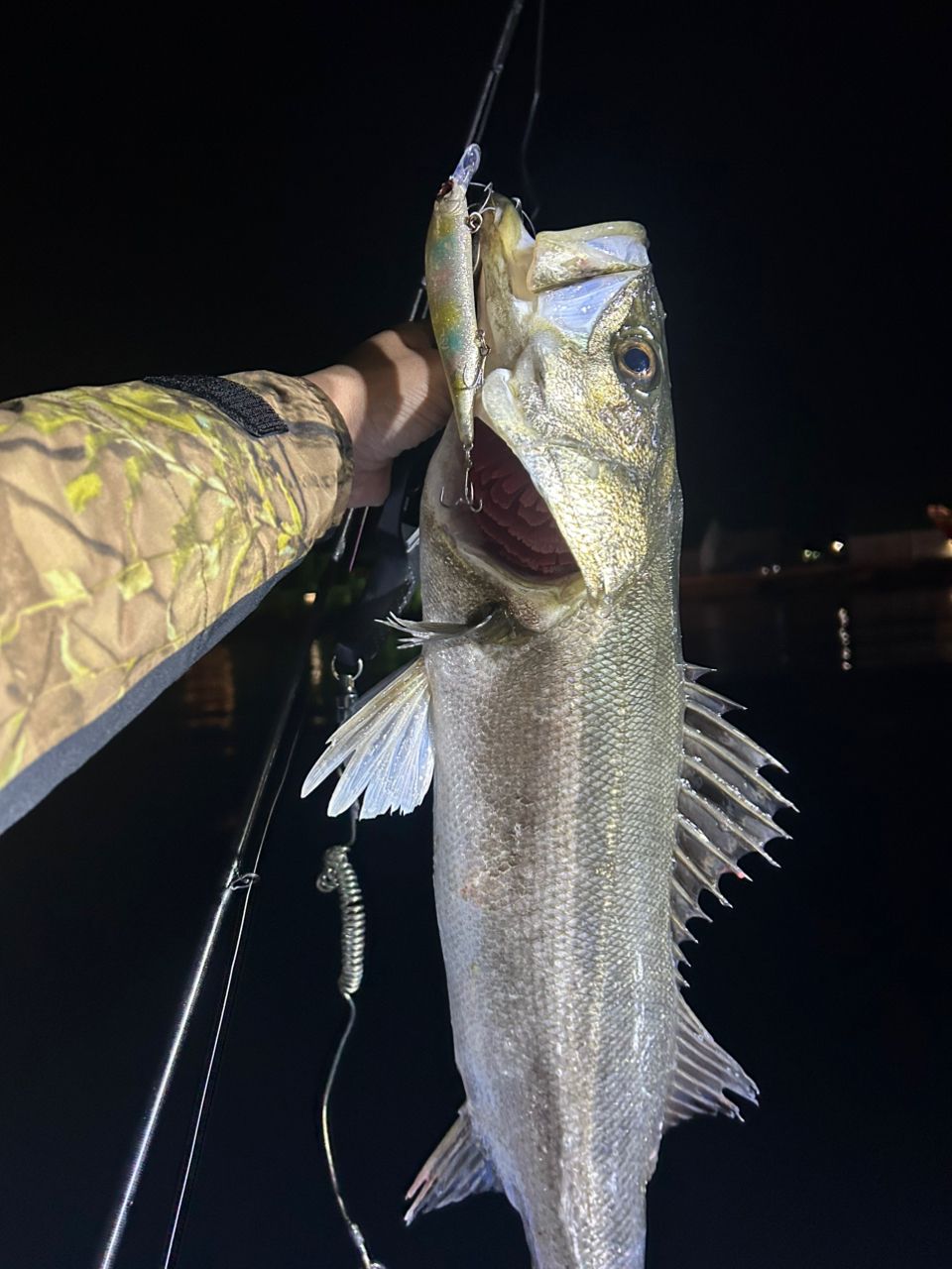 Megabass 空海ガルフ CKG-63MLSの最安値・インプレ・釣果 | 本音の