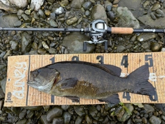 スモールマウスバスの釣果