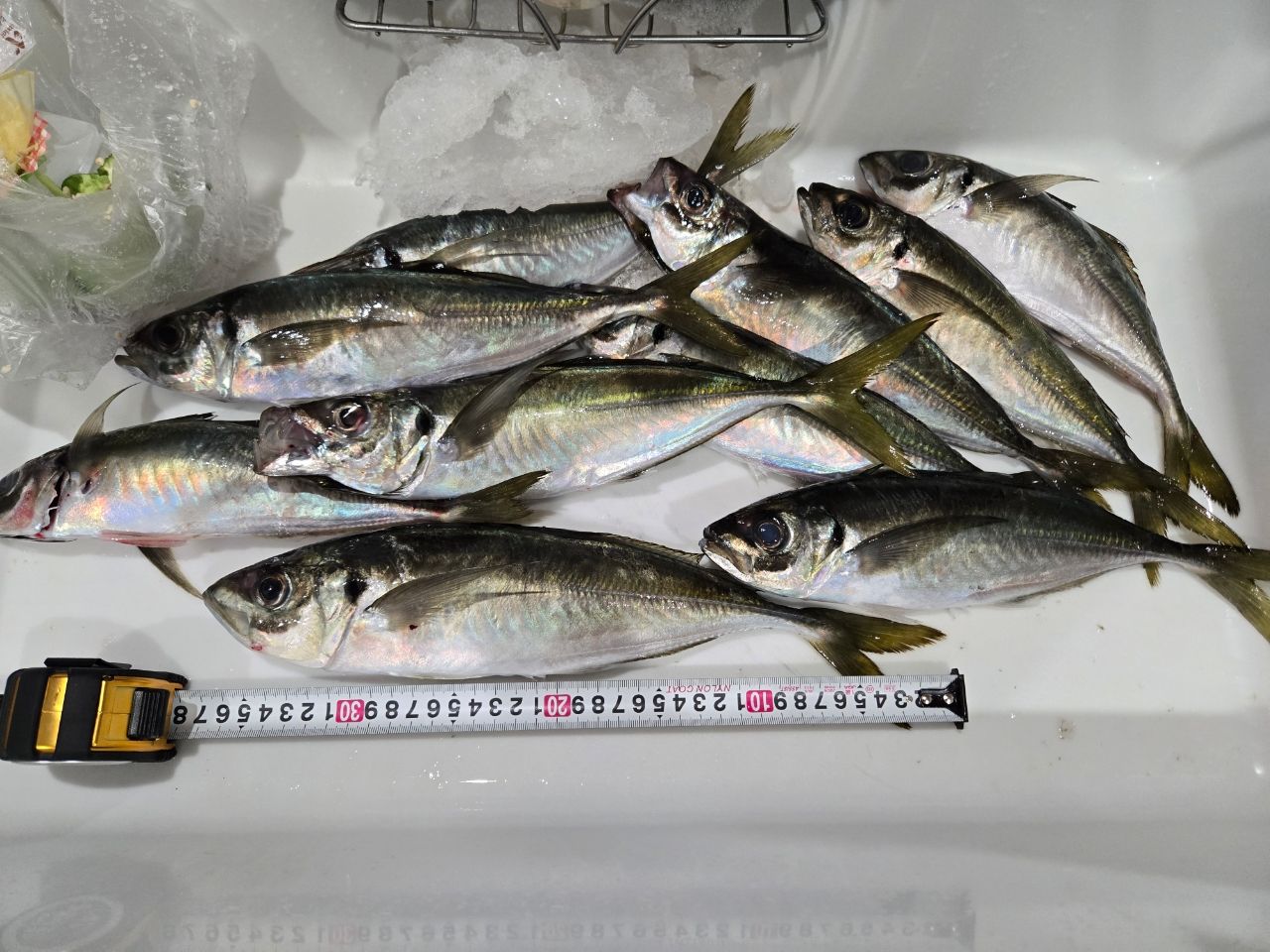 SHIMANO 21ソアレXR S54SUL-Sの最安値・インプレ・釣果 | 本音の口コミ