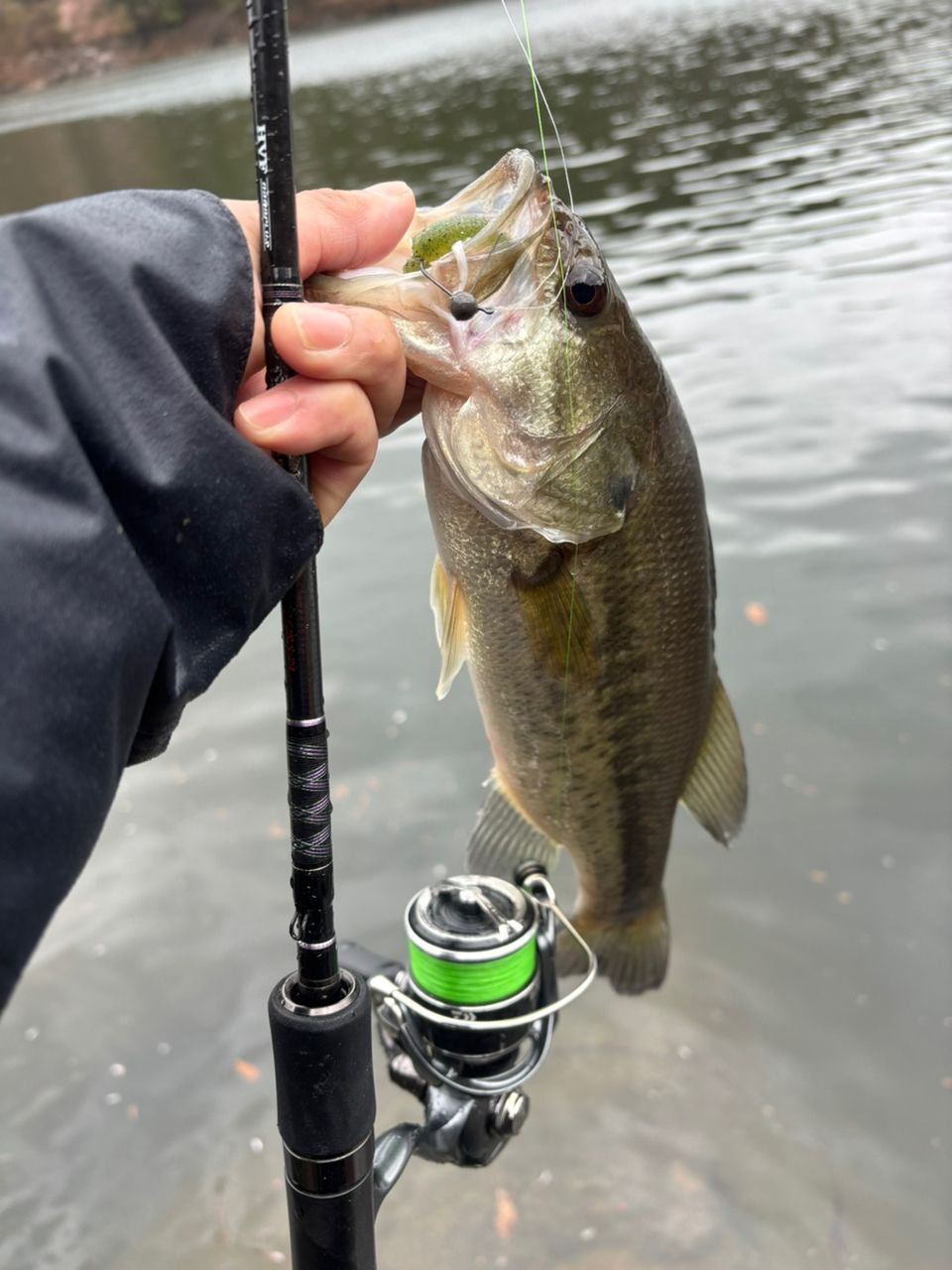 DAIWA 18ハートランド 722LRS-21の最安値・インプレ・釣果 | 本音の