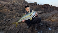 ヒラマサの釣果