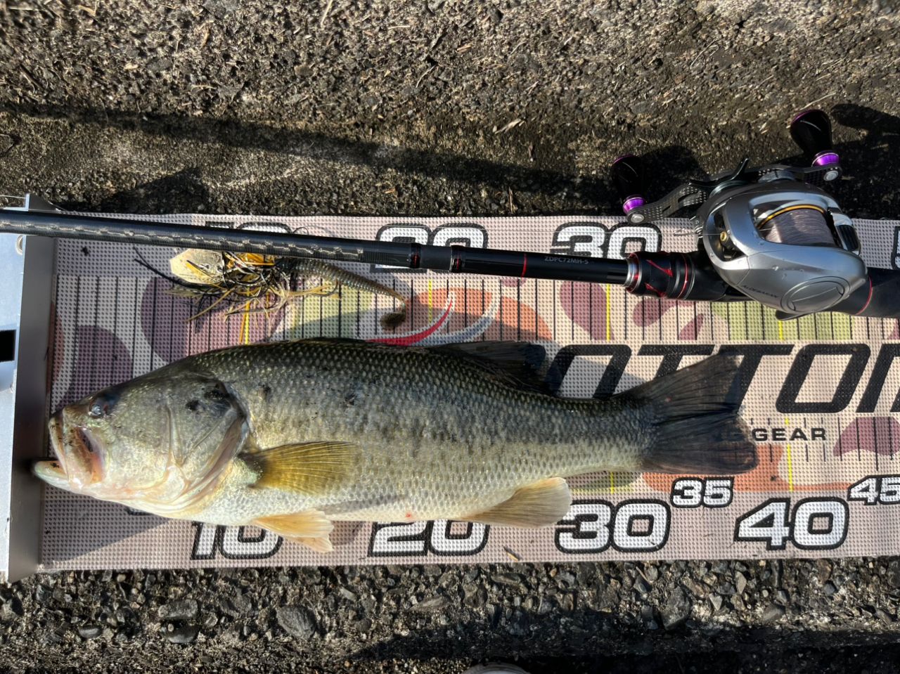 SHIMANO 21ゾディアス (パックロッド) C72MH-5の最安値・インプレ