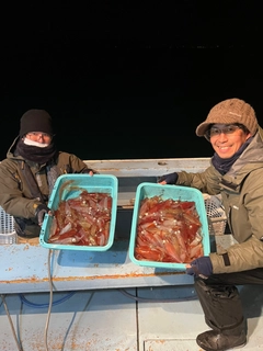 マルイカの釣果