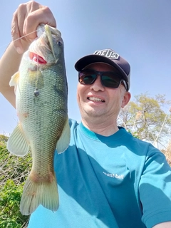 ラージマウスバスの釣果