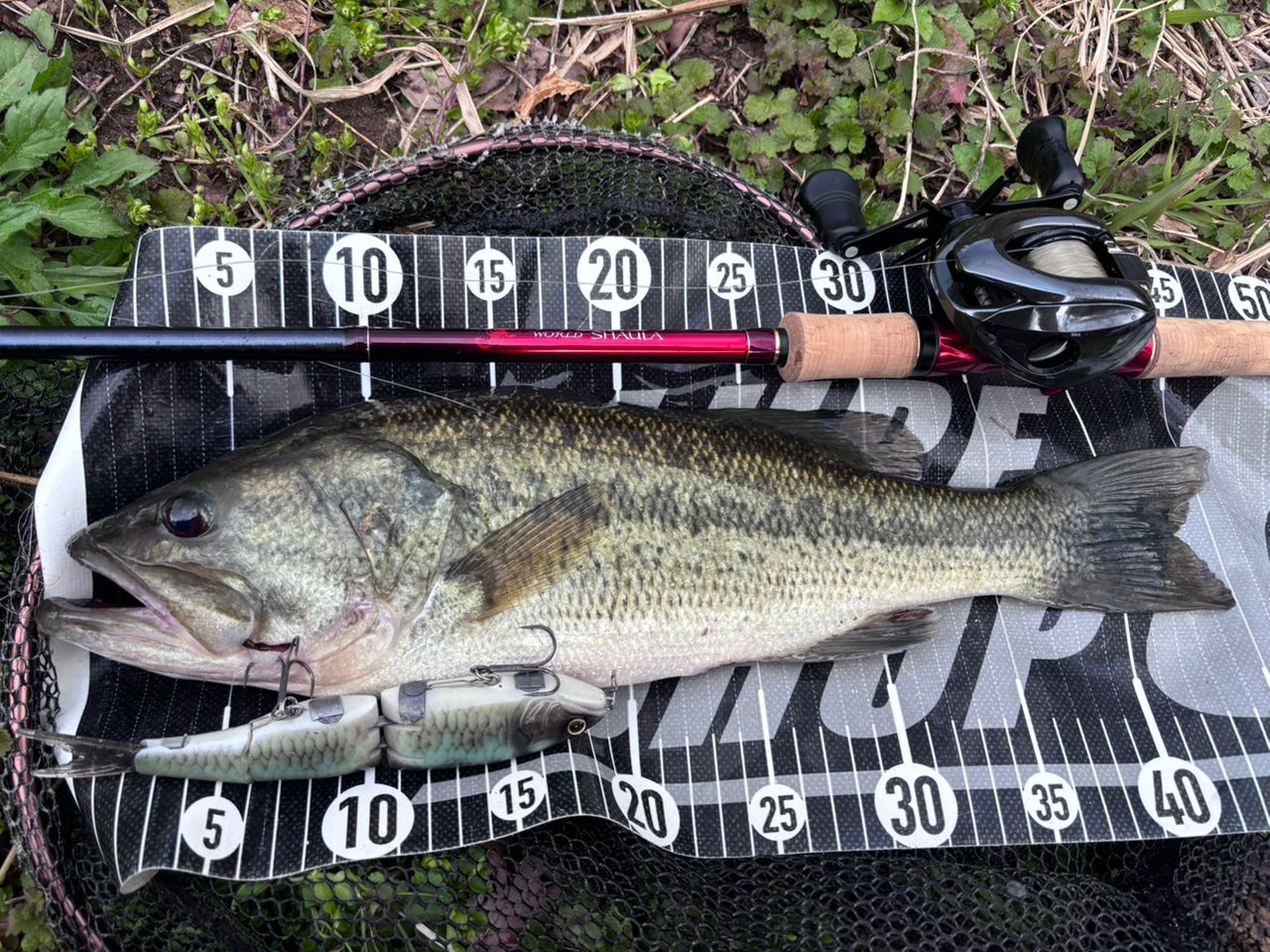 SHIMANO 18ワールドシャウラ 1754R-2の最安値・インプレ・釣果 | 本音