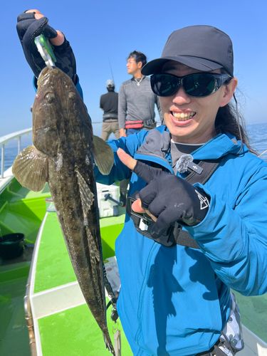 マゴチの釣果