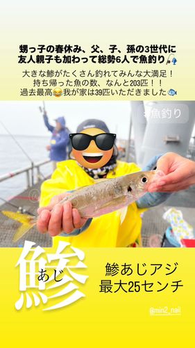 アジの釣果