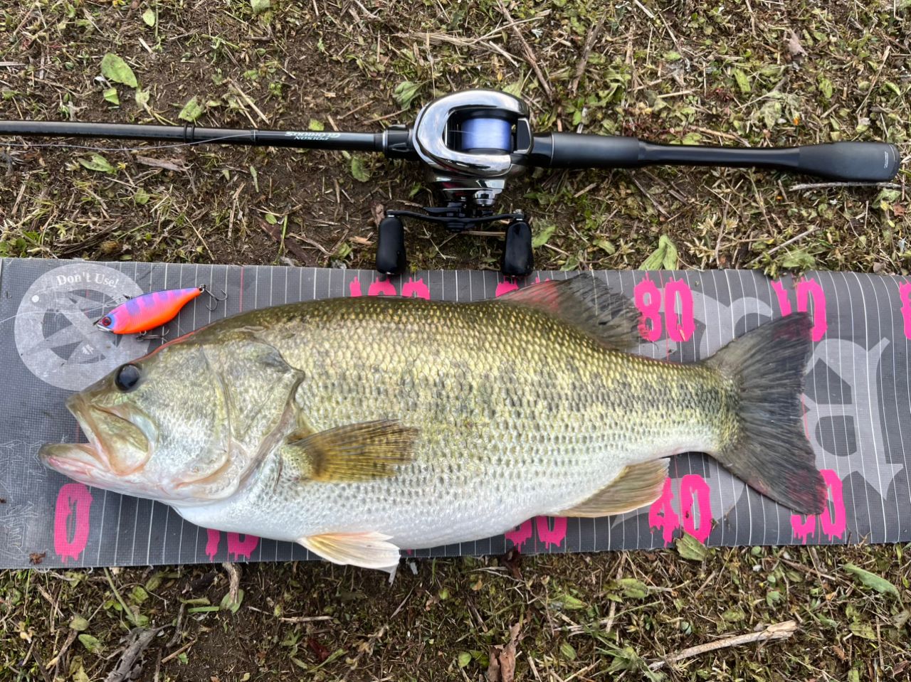 SHIMANO 21ポイズングロリアス 170Hの最安値・インプレ・釣果 | 本音の