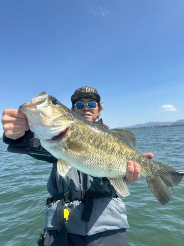 下物で釣れたブラックバスの釣り・釣果情報 - アングラーズ | 釣果600