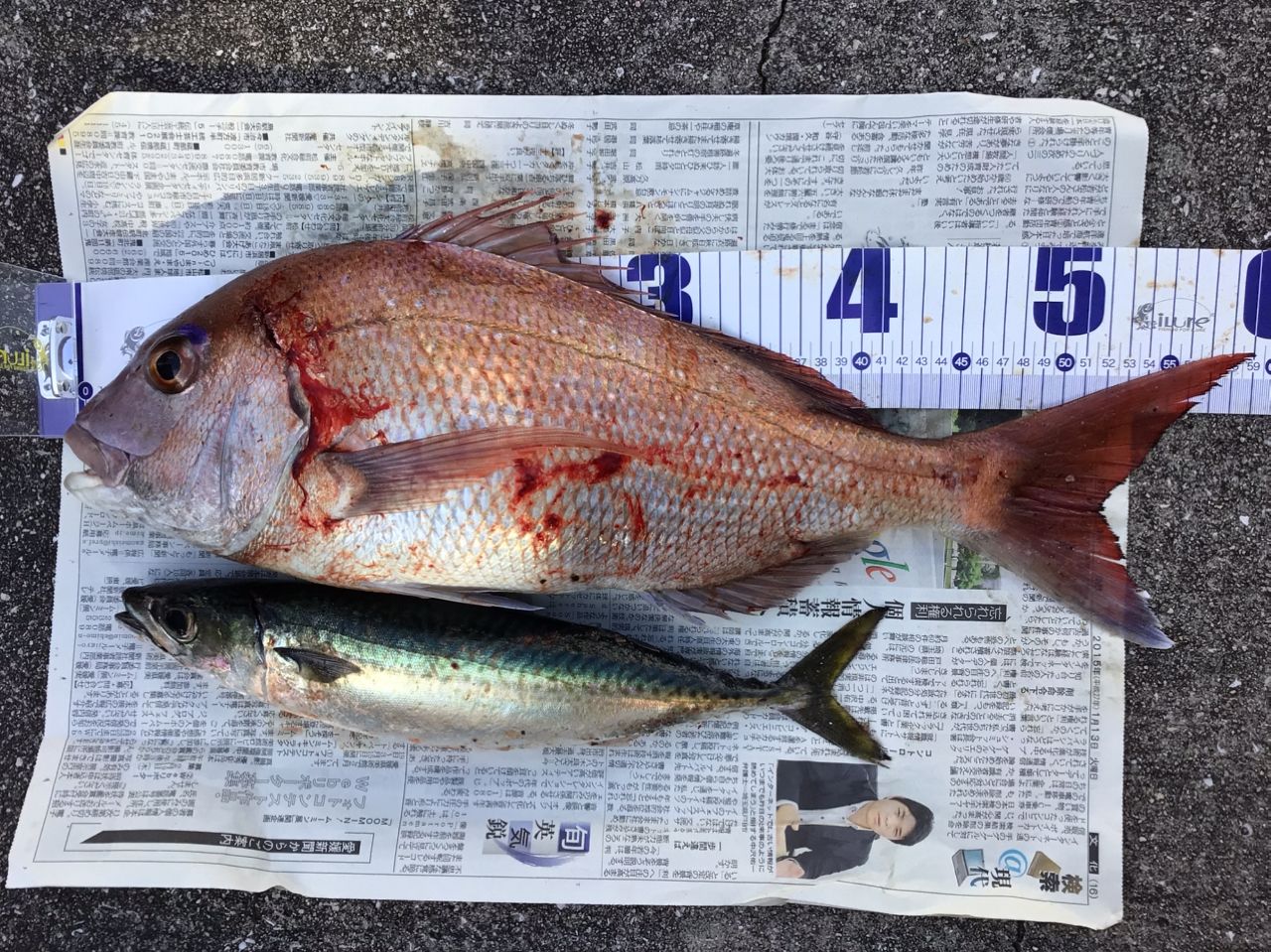 DAIWA 21シーバスハンター X 96ML・Rの最安値・インプレ・釣果 | 本音