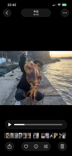 モイカの釣果