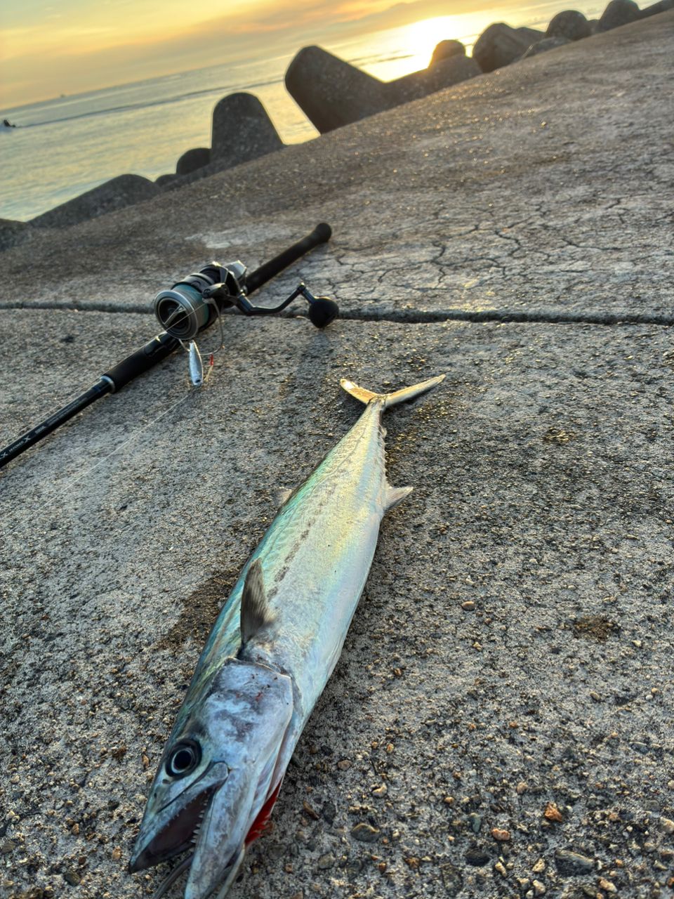 SHIMANO 22コルトスナイパーSS LSJ S96MLの最安値・インプレ・釣果