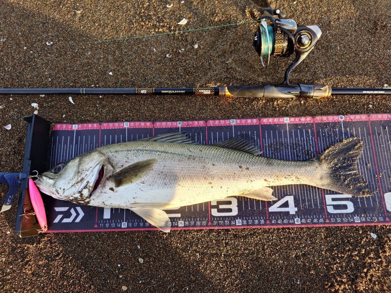 DAIWA 21モアザン ブランジーノ EX AGS 1010ML/Mの最安値・インプレ