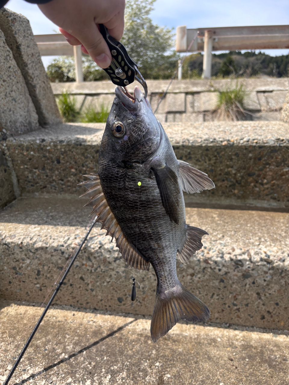SHIMANO 19ブレニアス B74ML-Sの最安値・インプレ・釣果 | 本音の