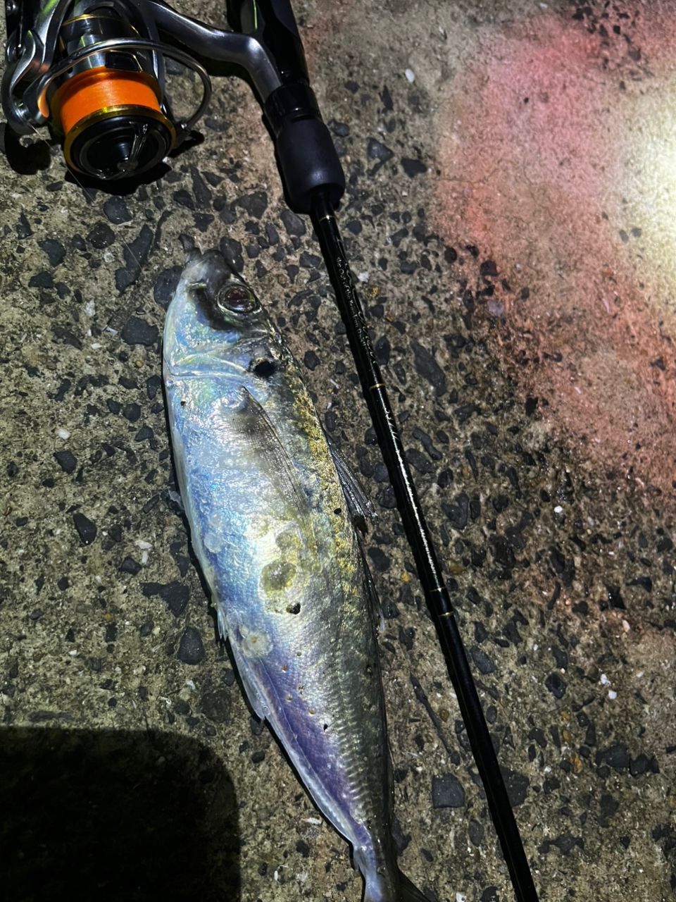YAMAGA Blanks ブルーカレント TZ 53/TZの最安値・インプレ・釣果