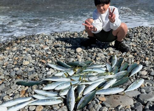 ツバイソの釣果