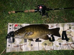 スモールマウスバスの釣果