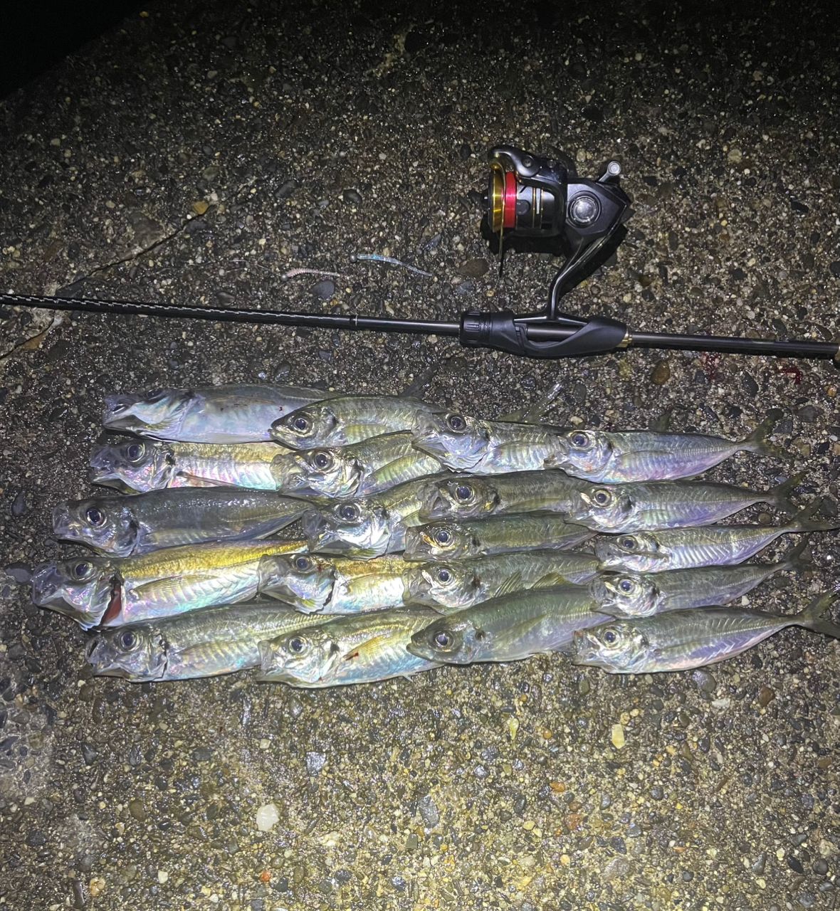 SHIMANO 22ソアレ SS アジング S60SUL-Sの最安値・インプレ・釣果