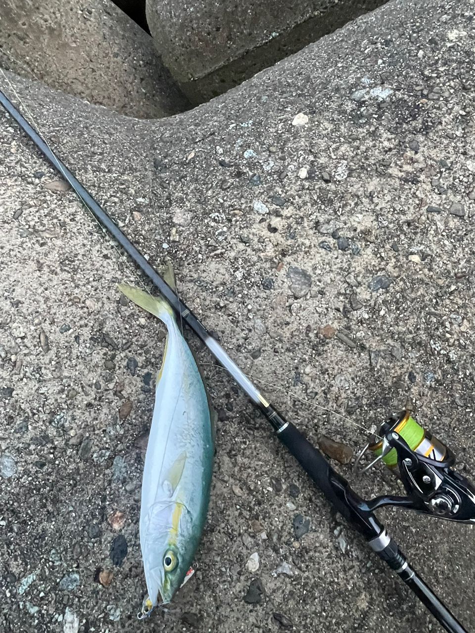 DAIWA 23シーバスフラット X 96Mの最安値・インプレ・釣果 | 本音の