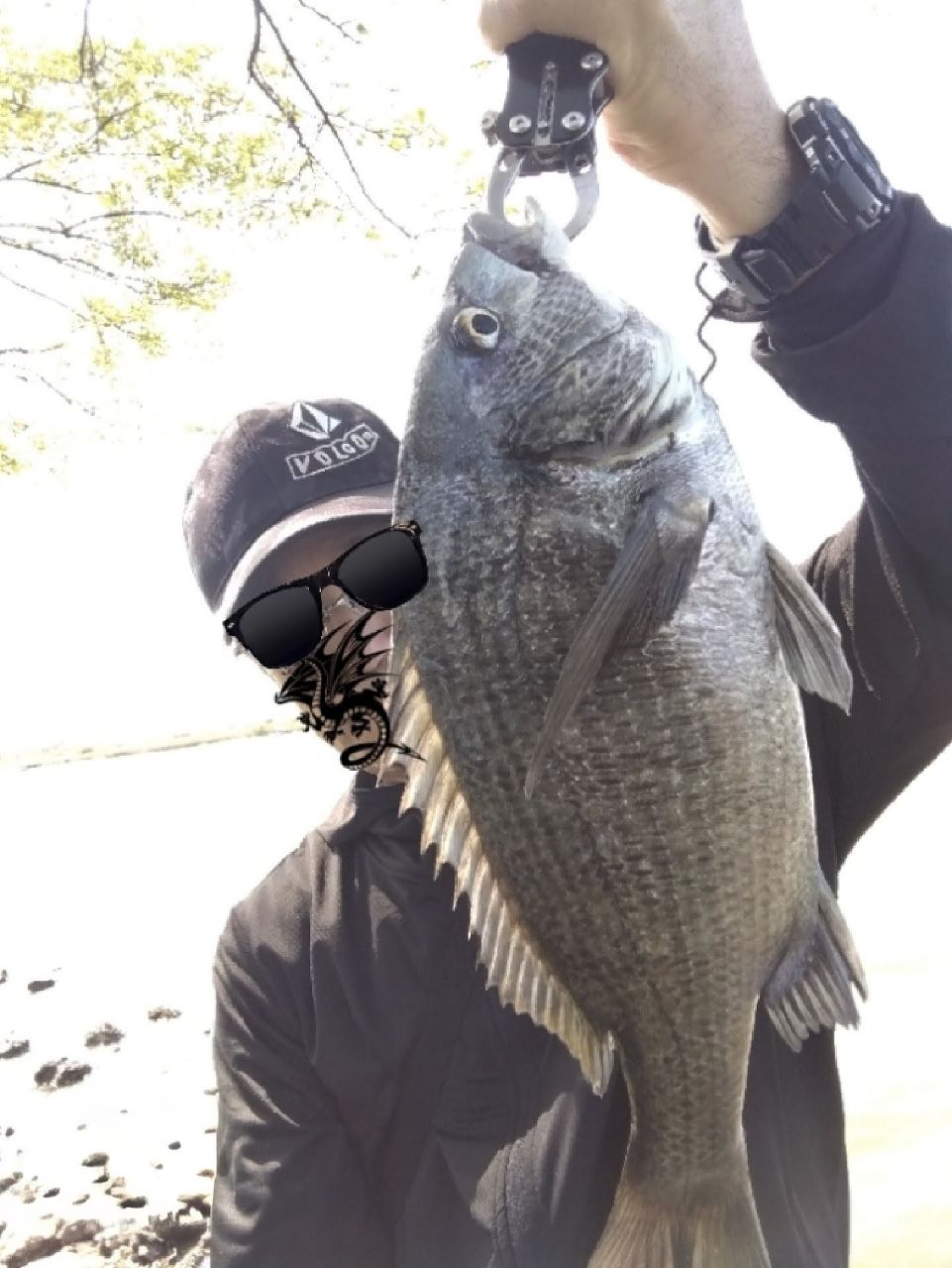 DAIWA 飛竜 クロダイ 2019年モデルの最安値・インプレ・釣果 | 本音の