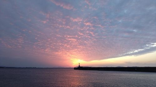 セイゴ（マルスズキ）の釣果