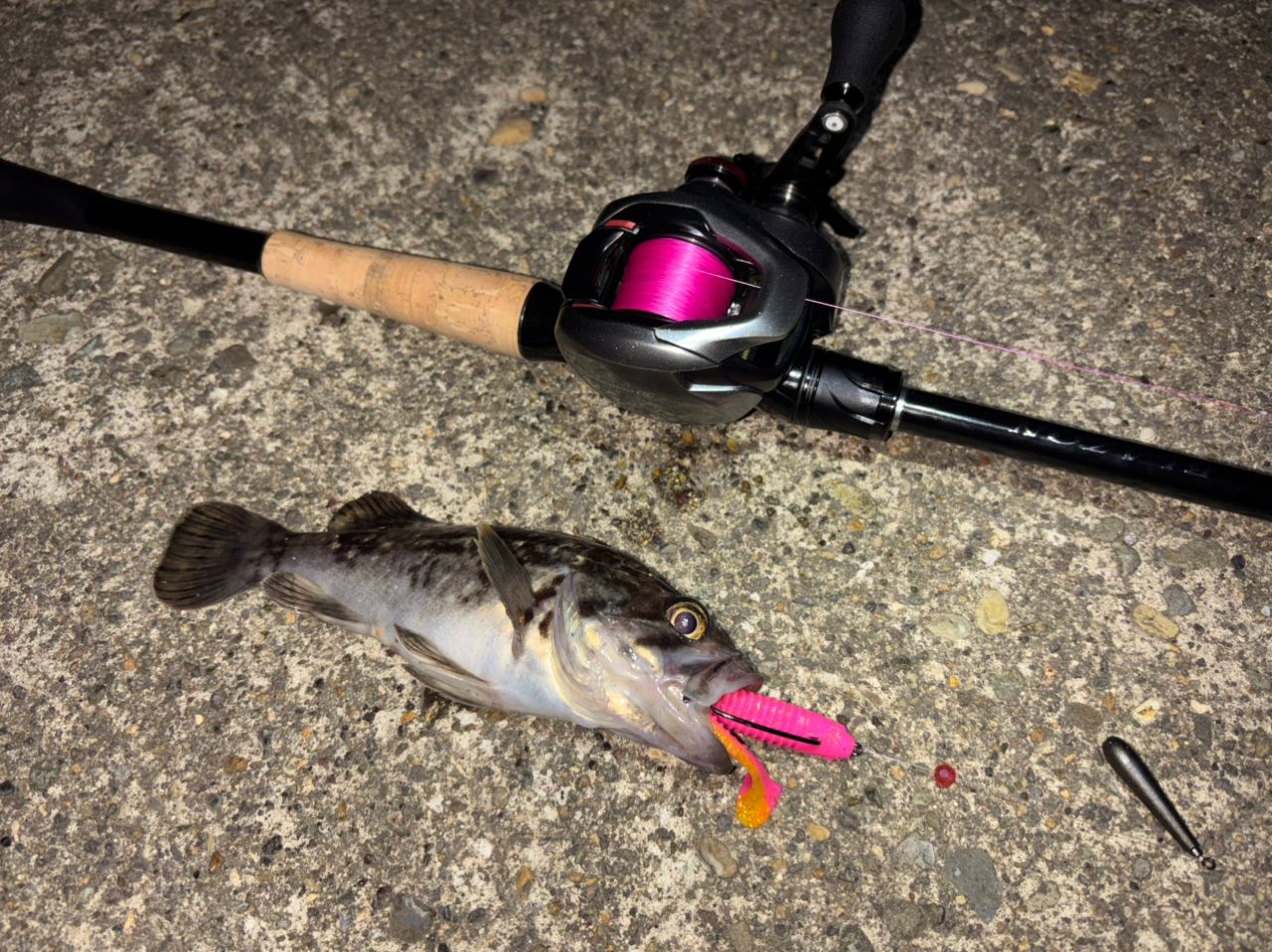 DAIWA 21ブレイゾン C72H-2の最安値・インプレ・釣果 | 本音の口コミが