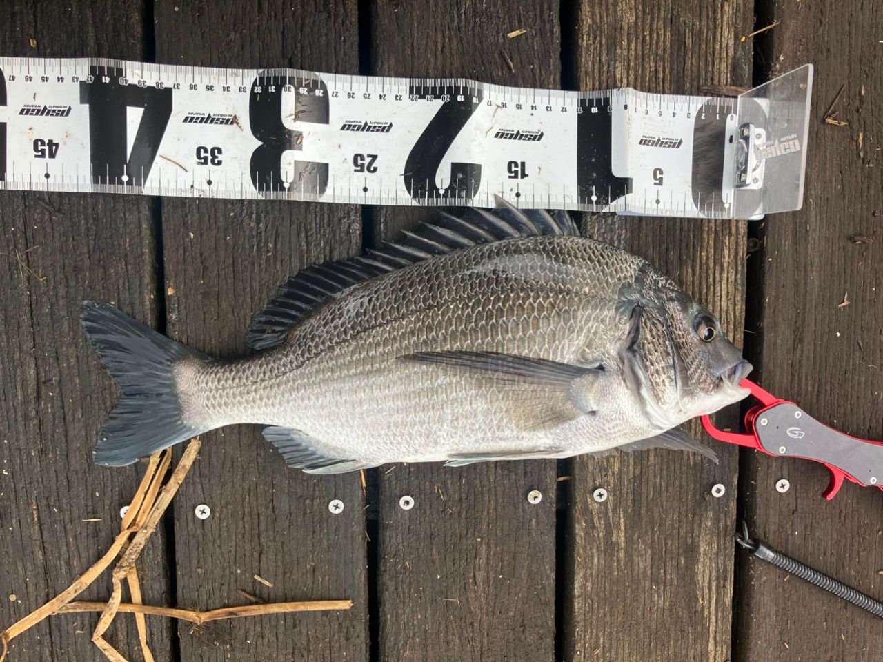 SHIMANO 20ルナミス S90MLの最安値・インプレ・釣果 | 本音の口コミが