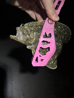 ソゲの釣果