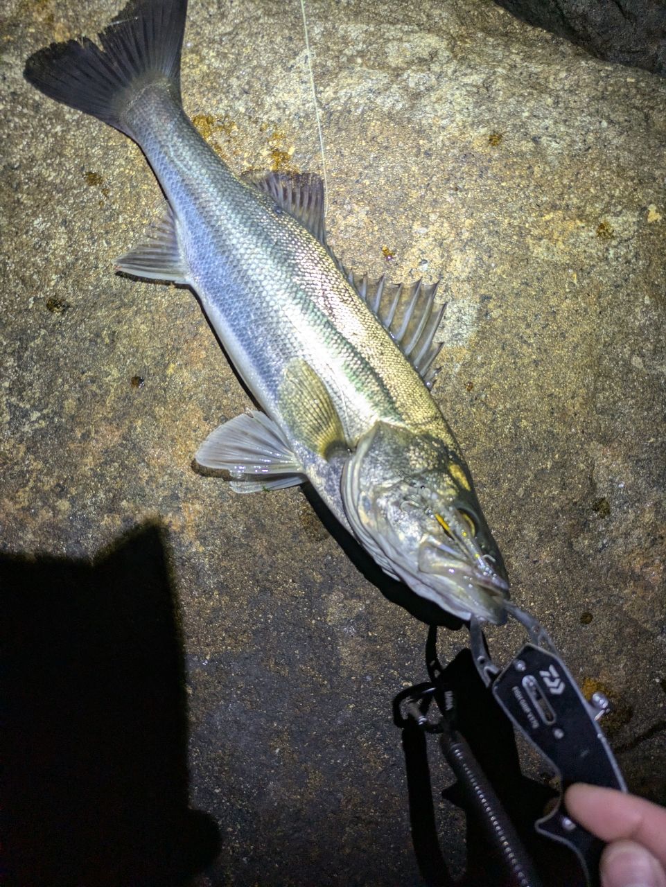 SHIMANO 20ソアレ TT S70SUL-Sの最安値・インプレ・釣果 | 本音の