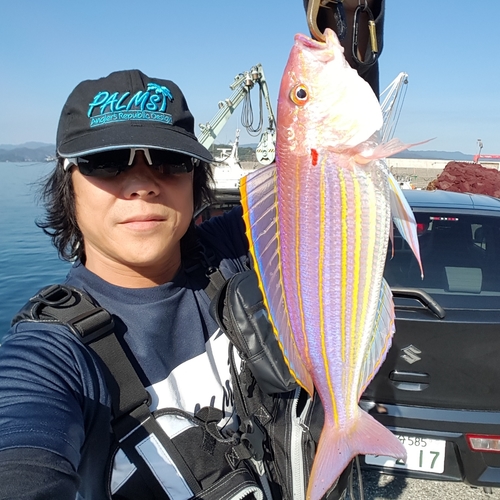 イトヨリダイの釣果